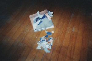 REIGN OF TERRIER--My dog ate my cookbook!