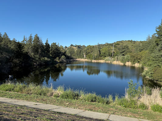 Franklin Canyon Reservoir was use in the opening credits of TAGS.